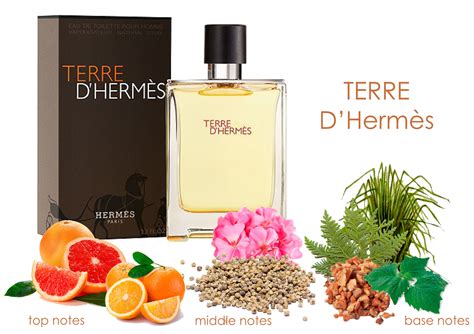 terre d'hermes notes